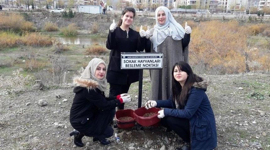 &Uuml;niversiteli &Ouml;ğrencilerden &Ouml;rnek Davranış