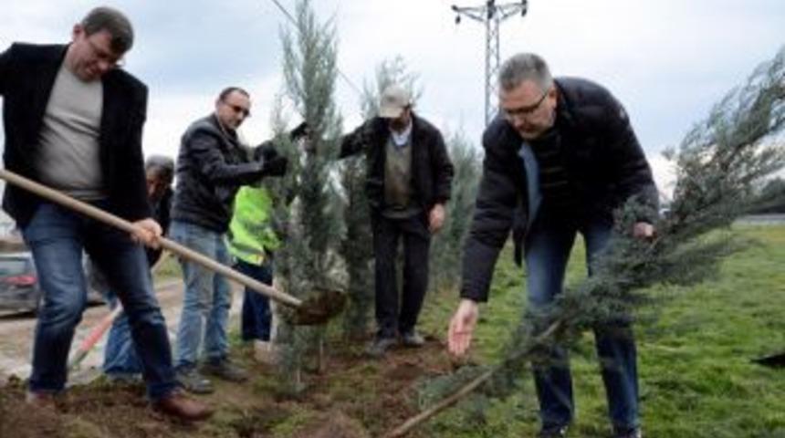 Karacabey&rsquo;de 2 Bin Fidan Toprakla Buluştu