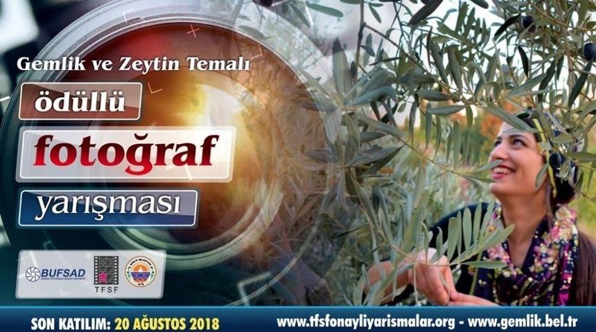Zeytin Başkenti Gemlik&rsquo;te Fotoğraf Yarışması