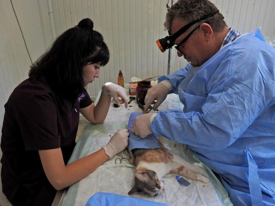 &Ccedil;eşme&rsquo;de Can Dostlar İ&ccedil;in Doğal Yaşam Alanı