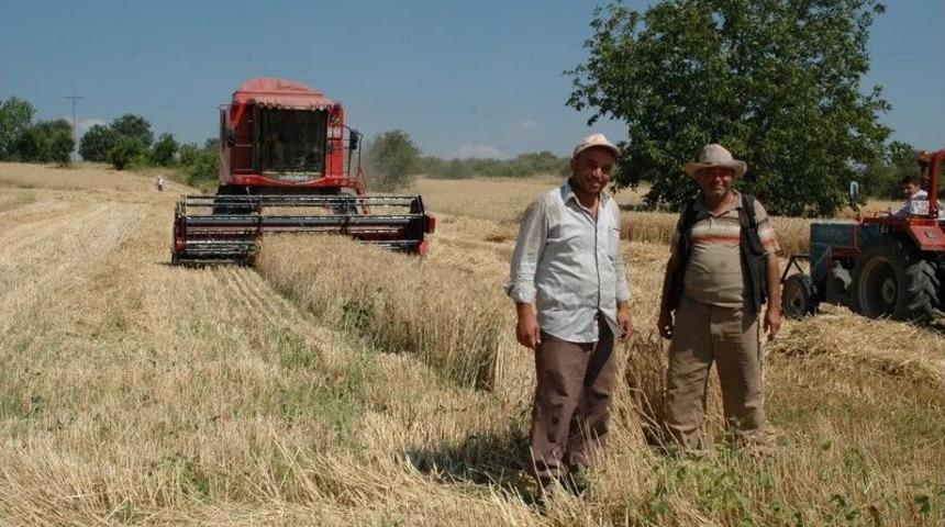 Hububat Alım Fiyatları Açıklandı