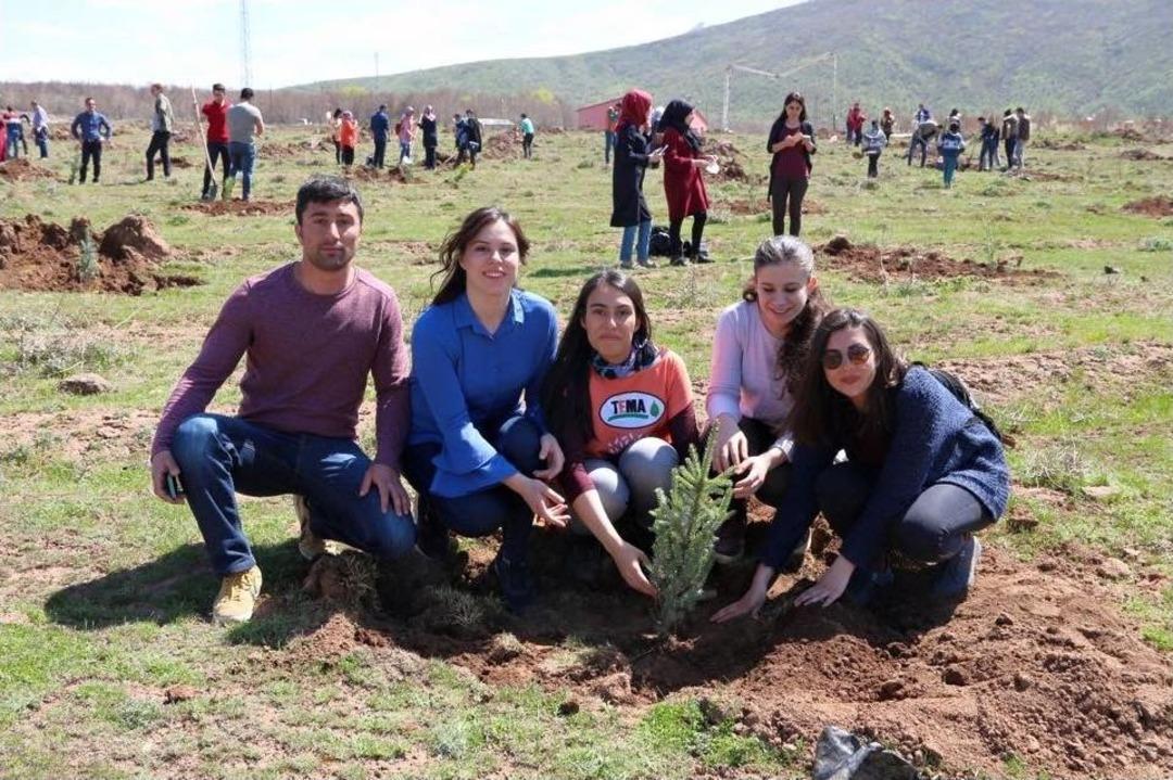 G&uuml;roymak&rsquo;ta 350 D&ouml;n&uuml;m Alanda 4 Bin 500 Fidan Toprakla Bulutu