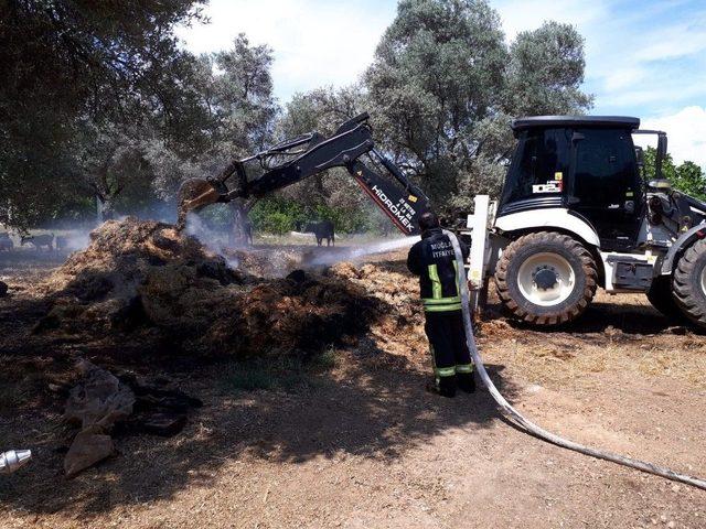 Seydikemer’de Saman Balyaları Alev Alev Yandı