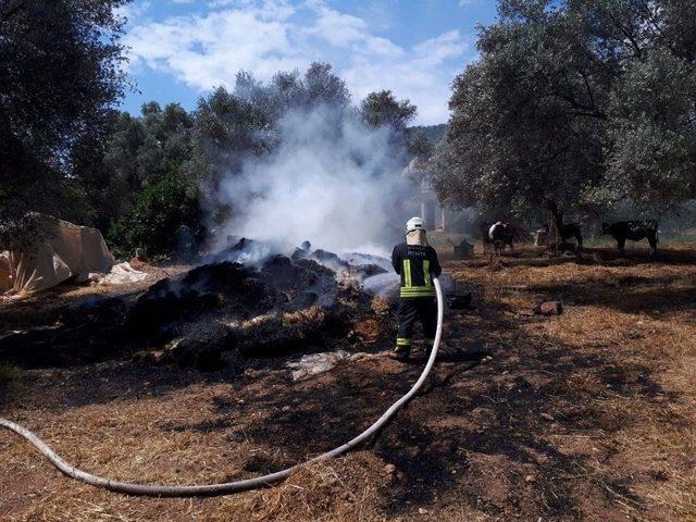 Seydikemer’de Saman Balyaları Alev Alev Yandı