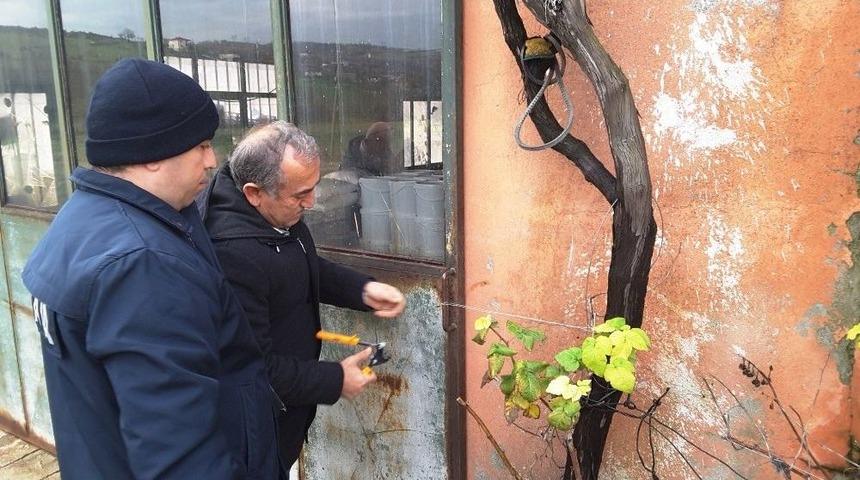 İzmit&rsquo;te Mantar Paketleme Tesisine M&uuml;h&uuml;rlendi