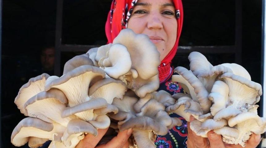 İlkokul Mezunuyken, D&uuml;nyaya A&ccedil;ılmayı Hedefleyen İş Kadını Oldu