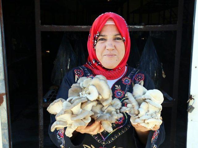 İlkokul Mezunuyken, Dünyaya Açılmayı Hedefleyen İş Kadını Oldu