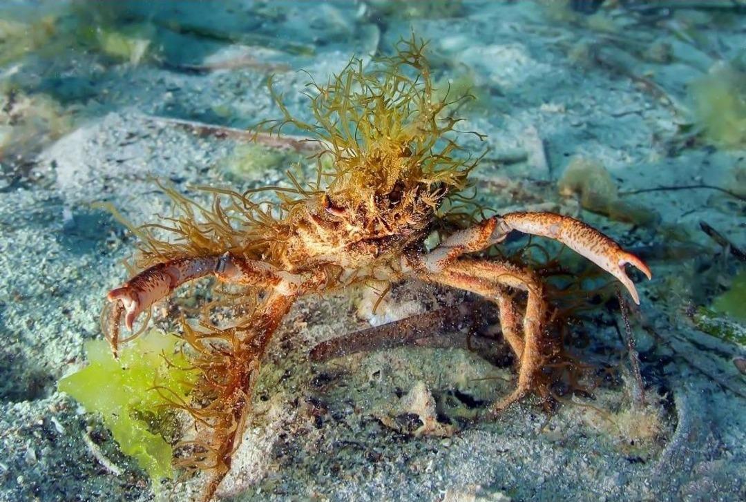 İzmir K&ouml;rfezi&rsquo;nin İ&ccedil;i Ayrı, Dışı Ayrı G&uuml;zel