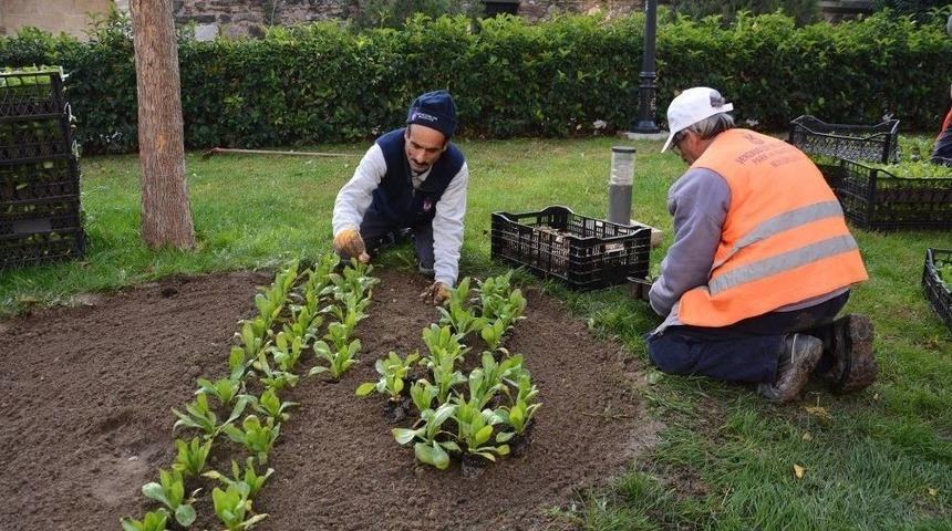 Şehzadeler Kışa Hazır
