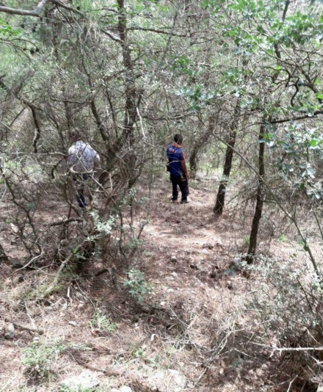 Sakarya’da Kaybolan Genç Osmaneli’nde Bulundu