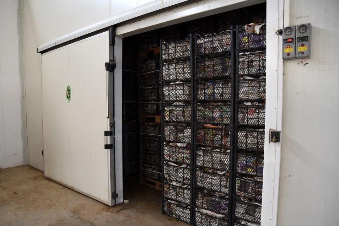 Tepebaşı Belediyesi Soğuk Hava Deposu İle &Uuml;reticinin Emeği Değer Kazanıyor