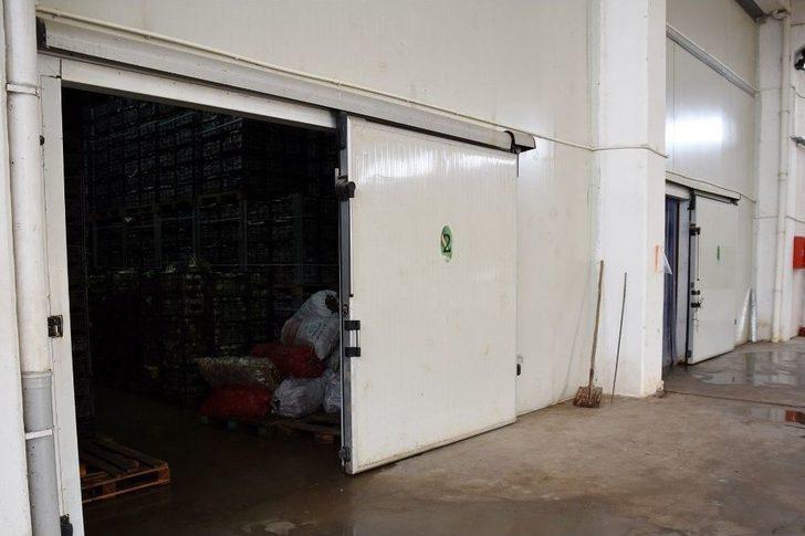 Tepebaşı Belediyesi Soğuk Hava Deposu İle Üreticinin Emeği Değer Kazanıyor G1