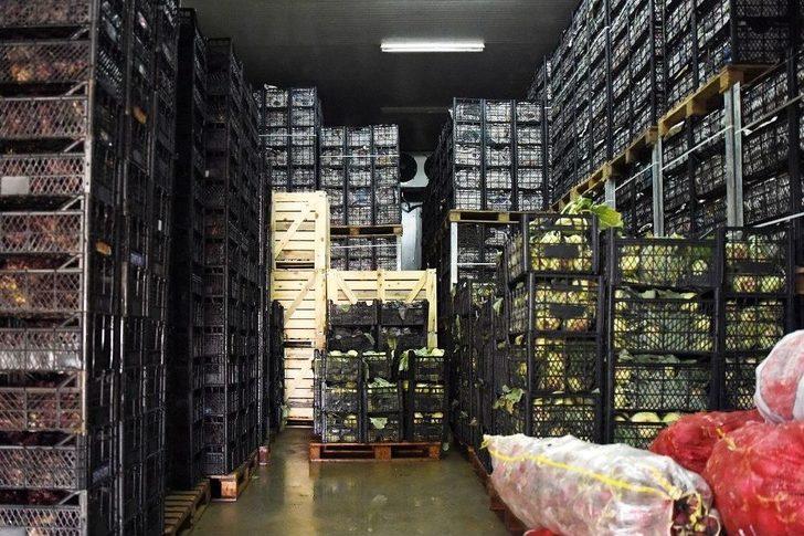 Tepebaşı Belediyesi Soğuk Hava Deposu İle Üreticinin Emeği Değer Kazanıyor G2