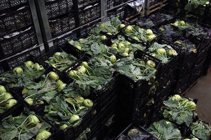 Tepebaşı Belediyesi Soğuk Hava Deposu İle Üreticinin Emeği Değer Kazanıyor G3