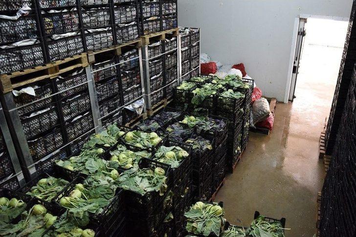 Tepebaşı Belediyesi Soğuk Hava Deposu İle Üreticinin Emeği Değer Kazanıyor G4