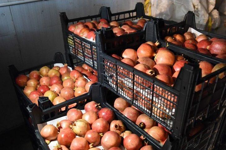 Tepebaşı Belediyesi Soğuk Hava Deposu İle Üreticinin Emeği Değer Kazanıyor G5