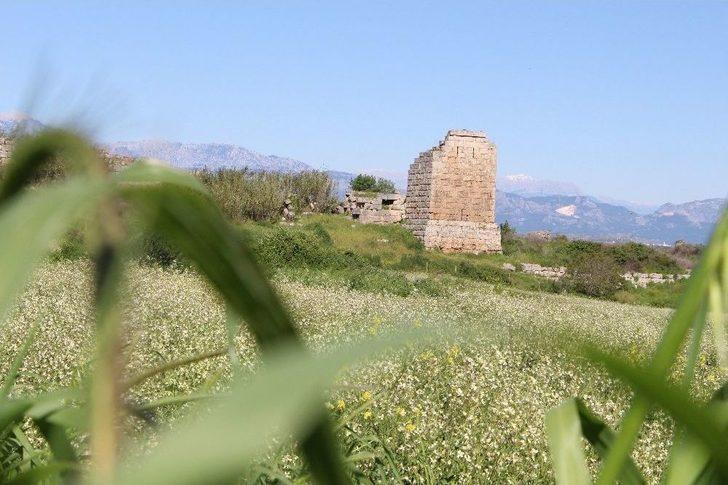 5 Bin Yıllık Tarihi Kent Yeşil Çevresiyle Ziyaretçileri Büyülüyor G5