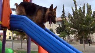 “rüzgar”ın En Büyük Keyfi Kaydırakta Oynamak