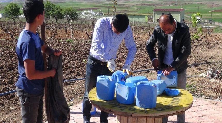 &Ccedil;ift&ccedil;ilerin B&ouml;cekle Leğenli M&uuml;cadelesi