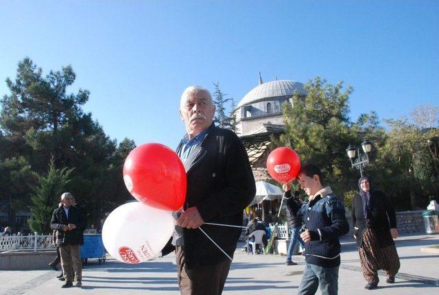 Kış Güneşinin Tadını Çıkardılar