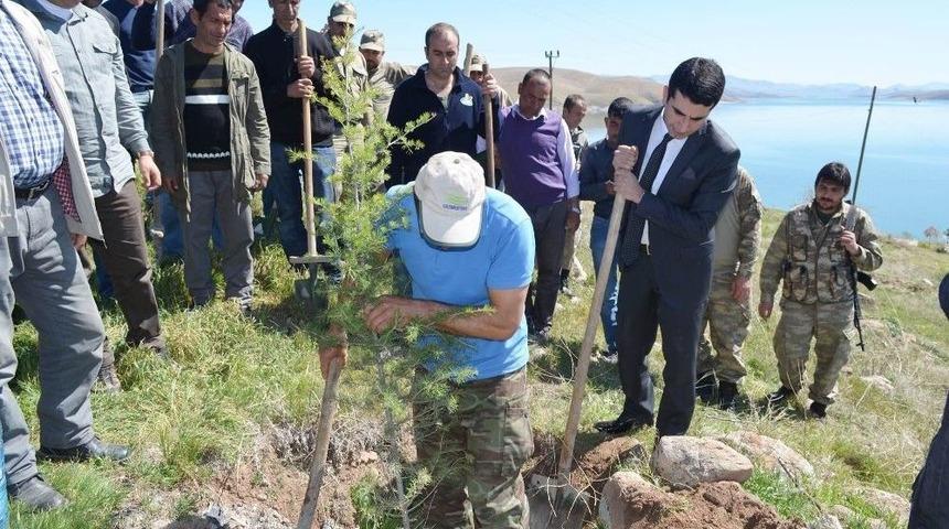 &Ccedil;emişgezek&rsquo;te Fidan Dikme Etkinliği