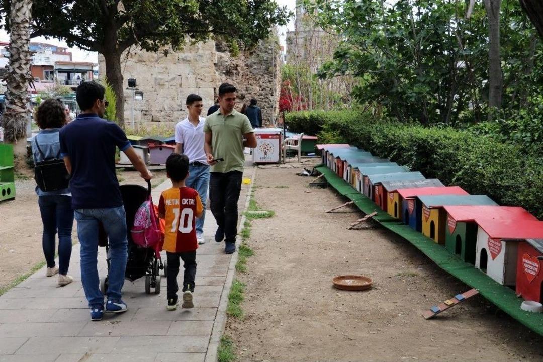 Kedi Parkı İ&ccedil;in Yeni Proje