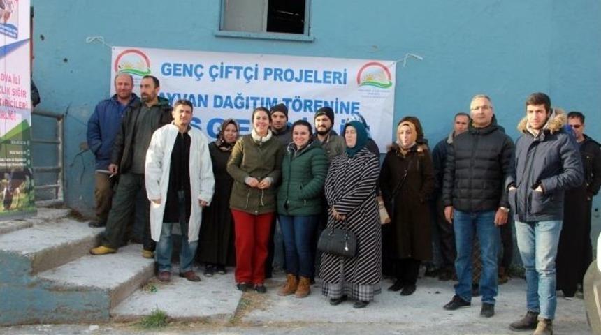 Genç Çiftçilere Düve