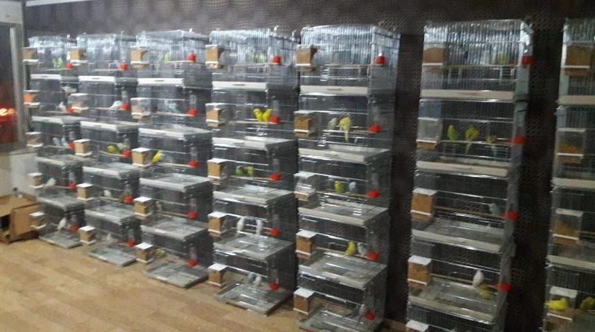 60 Bin Tl&rsquo;lik Malzeme &Ccedil;alan 3 Ş&uuml;pheli Yakalandı