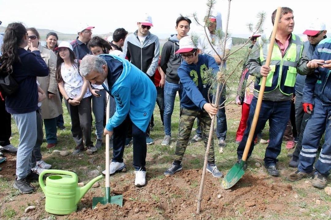 20 Bin Kişinin Katılımıyla 10 Bin Fidan Toprak İle Buluştu