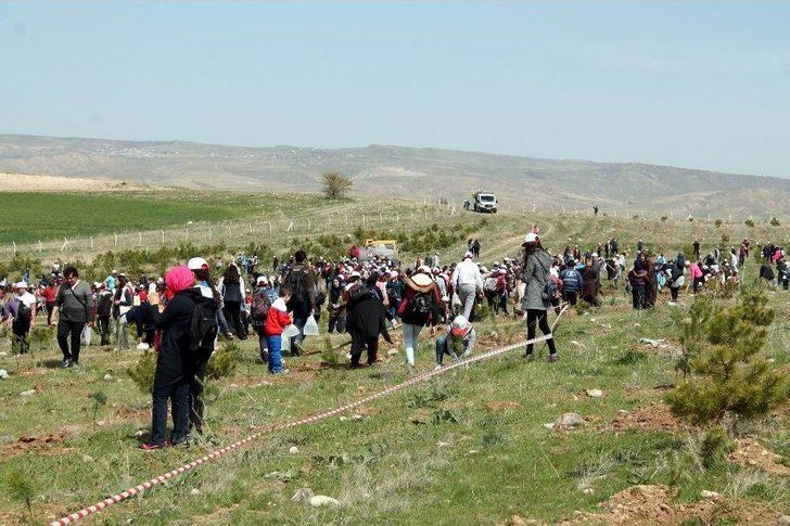 20 Bin Kişinin Katılımıyla 10 Bin Fidan Toprak İle Buluştu G4