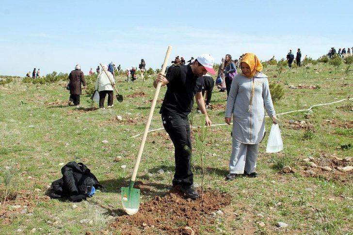 20 Bin Kişinin Katılımıyla 10 Bin Fidan Toprak İle Buluştu G5