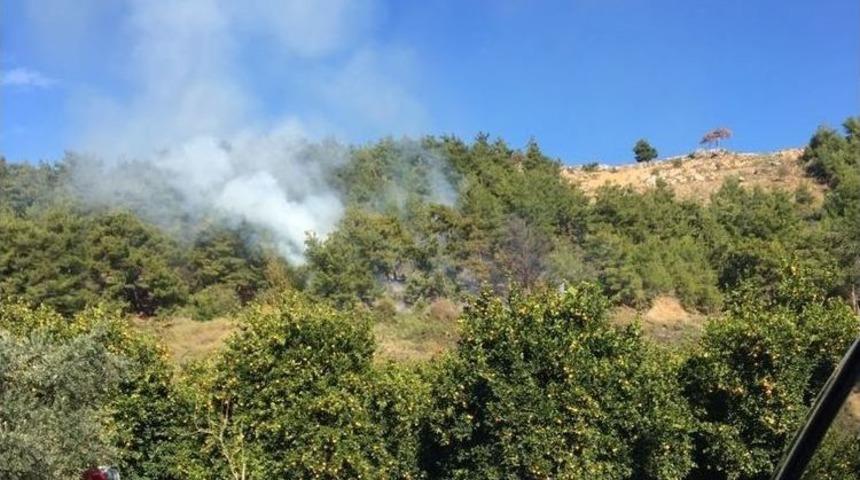 Alanya&rsquo;da Orman Yangını Korkuttu