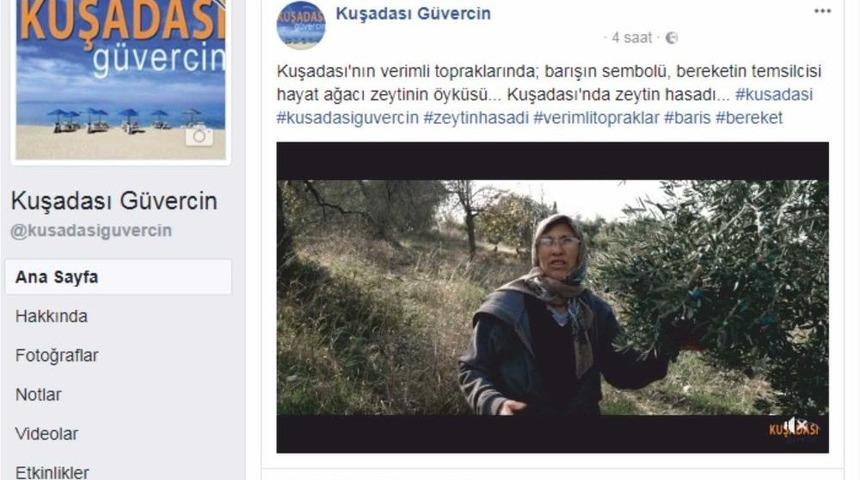 Kuşadası Ticaret Odası, Kuşadası&rsquo;nda Zeytin Hasadı İ&ccedil;in Tanıtım Filmi Yayınladı