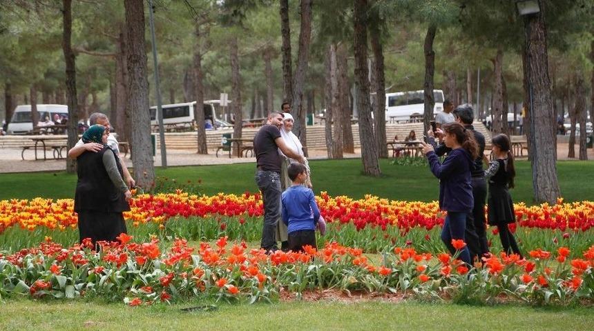 D&uuml;l&uuml;k Tabiat Parkı Muhteşem Manzarasıyla Hayran Bıraktırıyor