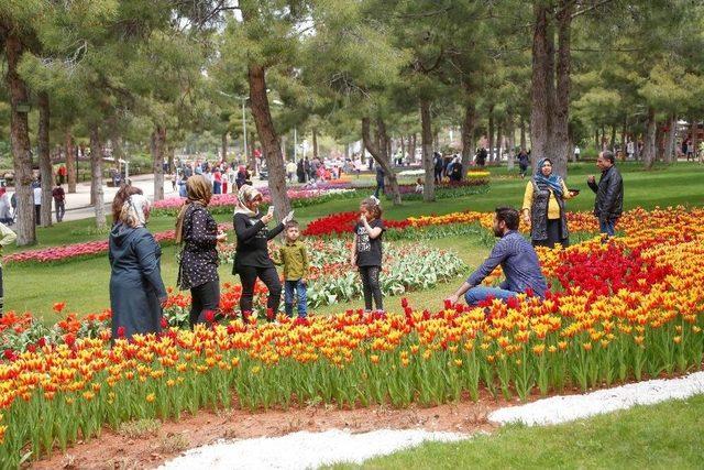 Dülük Tabiat Parkı Muhteşem Manzarasıyla Hayran Bıraktırıyor 1