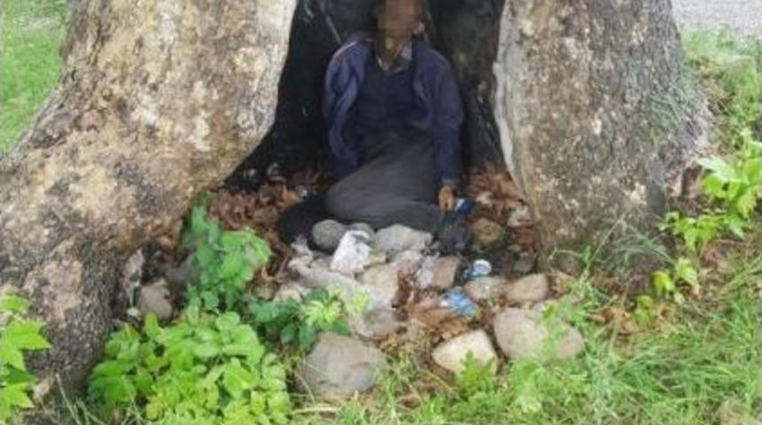 Yağmurda Sığındığı Ağaç Kovuğunda Yıldırım Düşmesi Sonucu Öldü