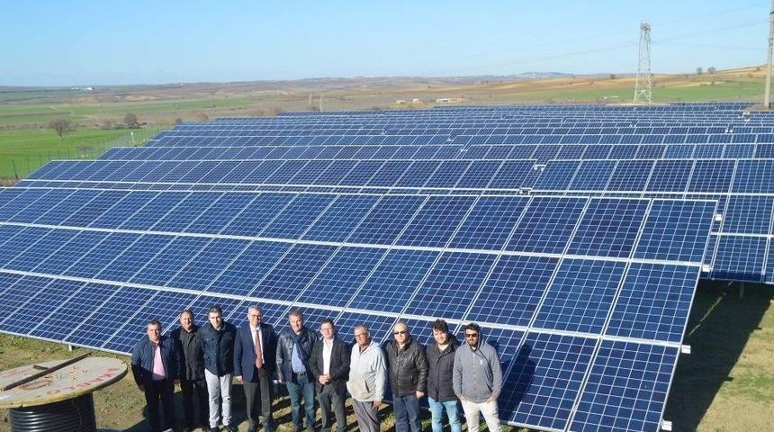 Tarlasına Buğday Değil G&uuml;neş Ekti