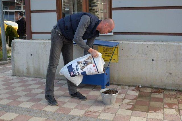 Kış İçin Özel Tasarlanmış Mama Kapları Yerini Aldı