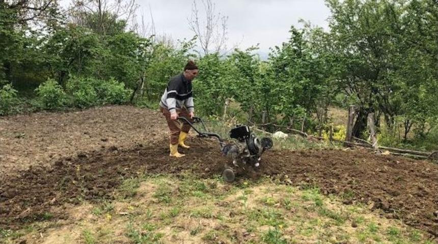 Alaplı&rsquo;da Bağ Bah&ccedil;e &Ccedil;alışmaları Hız Kazandı