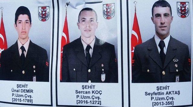 Hakkari Şehitleri Törenle Memleketlerine Uğurlandı