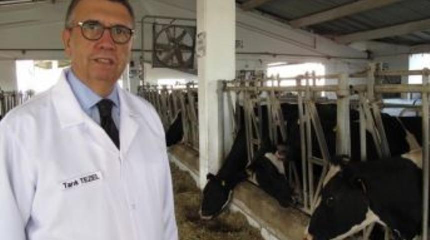 D&uuml;nya S&uuml;t G&uuml;n&uuml;nde Sağlıklı S&uuml;t Vurgusu