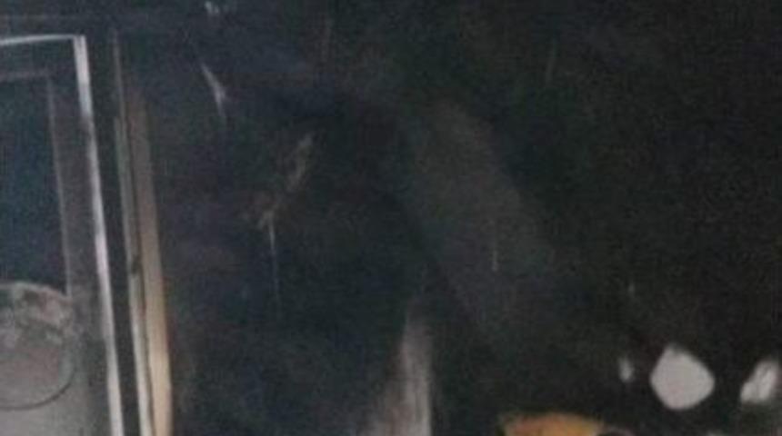 Elektrikli Battaniye &Ouml;l&uuml;m Getirdi