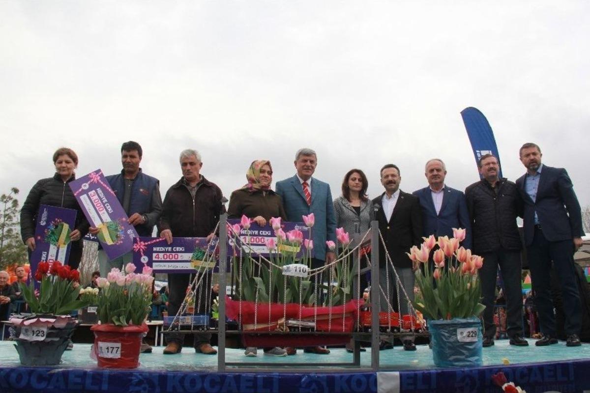 Kocaeli&rsquo;de En G&uuml;zel Laleler Yarıştı