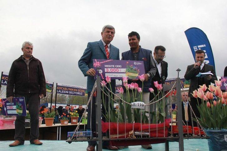 Kocaeli’de En Güzel Laleler Yarıştı G1