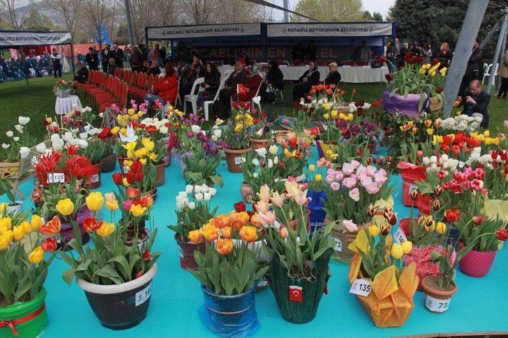 Kocaeli’de En Güzel Laleler Yarıştı G4