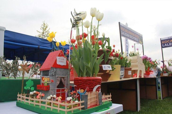 Kocaeli’de En Güzel Laleler Yarıştı G5