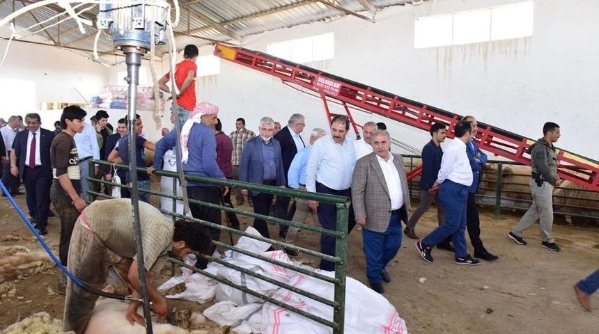 Kit Komisyonu Tigem Ceylanpınar&rsquo;da İncelemelerde Bulundu