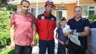 Balıkesir’de İtfaiyenin Yolda Bulduğu Yaralı Martı Tedaviye Alındı