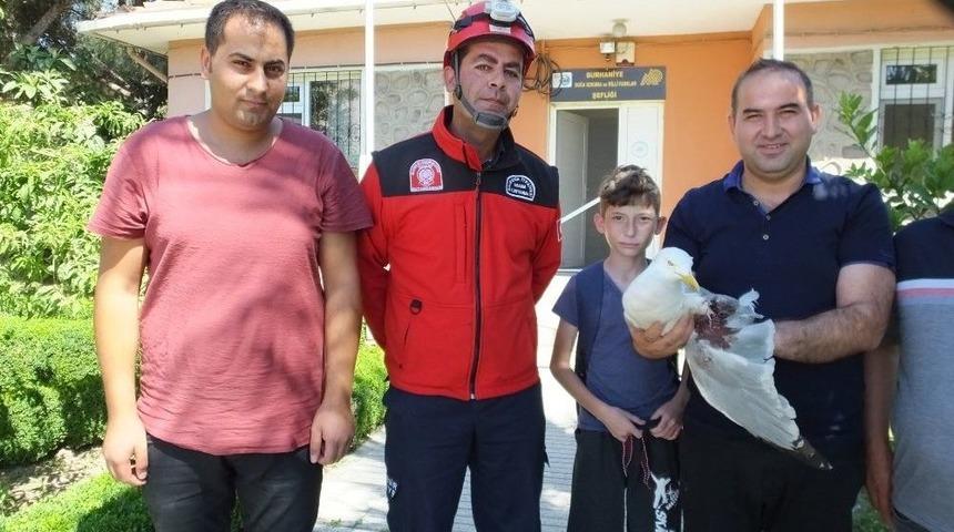 Balıkesir’de İtfaiyenin Yolda Bulduğu Yaralı Martı Tedaviye Alındı