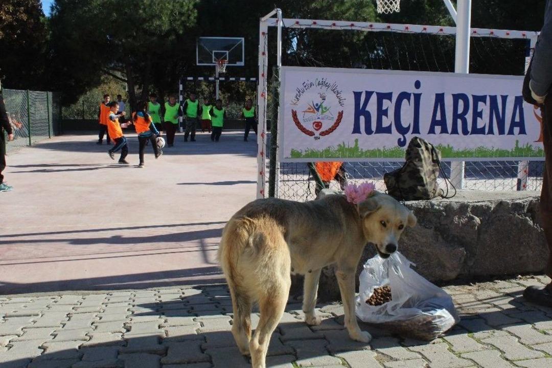 (&ouml;zel Haber) Hayvan Dostu Okuldan İlgin&ccedil; Turnuva